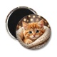 Magnet's - chaton tricot