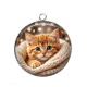 Pendentif Cabochon Argent - chaton tricot