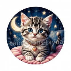 chaton lune