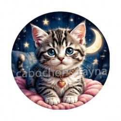 chaton lune