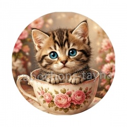 chaton tasse