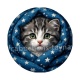 chaton étoile
