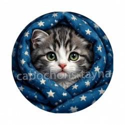 chaton tasse