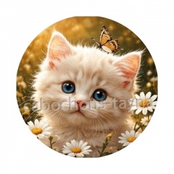 chaton marguerite