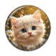 Cabochon Résine - chaton marguerite