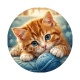 chaton pelote de laine