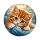 chaton pelote de laine