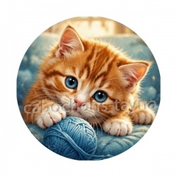 chaton pelote de laine
