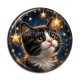Cabochon Résine - chaton étoile