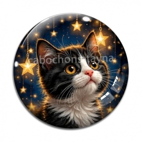 Cabochon Verre - chaton étoile