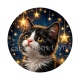 chaton étoile