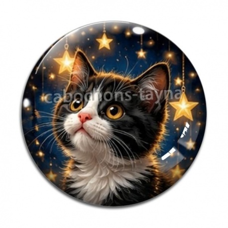 Cabochon Verre - chaton étoile
