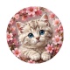 chaton fleur de cerisier