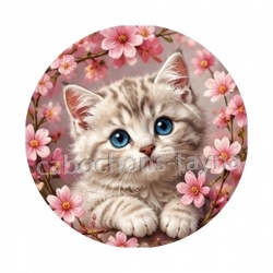 chaton fleur de cerisier