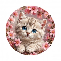 chaton fleur de cerisier