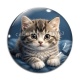 Cabochon Verre - chaton fond bleu