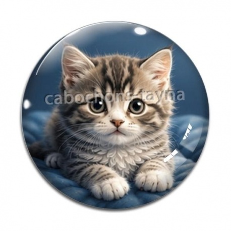 Cabochon Verre - chaton fond bleu