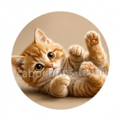 chaton fond beige