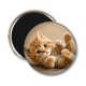 Magnet's - chaton fond beige