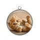 Pendentif Cabochon Argent - chaton fond beige