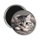 Magnet's - chaton fond gris