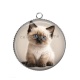 Pendentif Cabochon Argent - chaton siamois 
