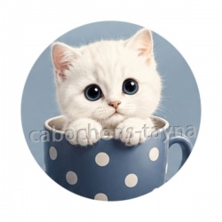 chaton tasse fond bleu