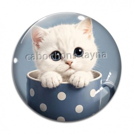 Cabochon Verre - chaton tasse fond bleu