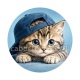 chaton casquette fond bleu
