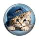Cabochon Résine - chaton casquette fond bleu