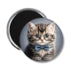 Magnet's - chaton lunette fond gris