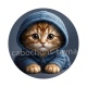 chaton pull