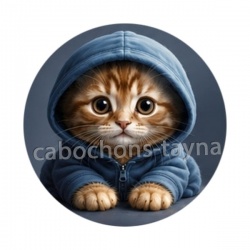 chaton pull