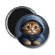 Magnet's - chaton pull