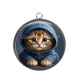 Pendentif Cabochon Argent - chaton pull