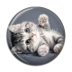 Cabochon Résine - chaton rayer blanc et gris 