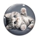 Cabochon Verre - chaton rayer blanc et gris 