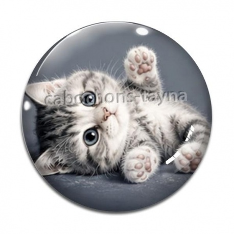 Cabochon Verre - chaton rayer blanc et gris 