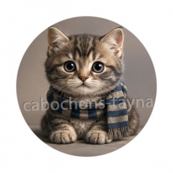 chaton écharpe fond marron