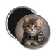 Magnet's - chaton écharpe fond marron