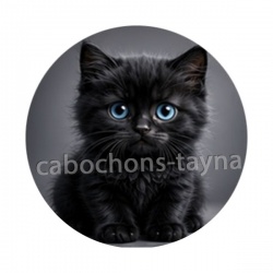 chaton noir fond gris