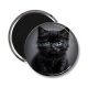 Magnet's - chaton noir fond gris