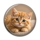Cabochon Résine - chaton rayer roux