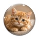 Cabochon Verre - chaton rayer roux