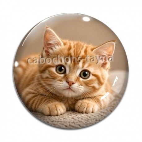 Cabochon Verre - chaton rayer roux