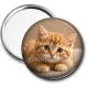 Miroir de poche - chaton rayer roux