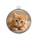 Pendentif Cabochon Argent - chaton rayer roux