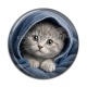 Cabochon Résine - chaton capuche