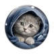 Cabochon Verre - chaton capuche