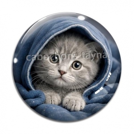 Cabochon Verre - chaton capuche